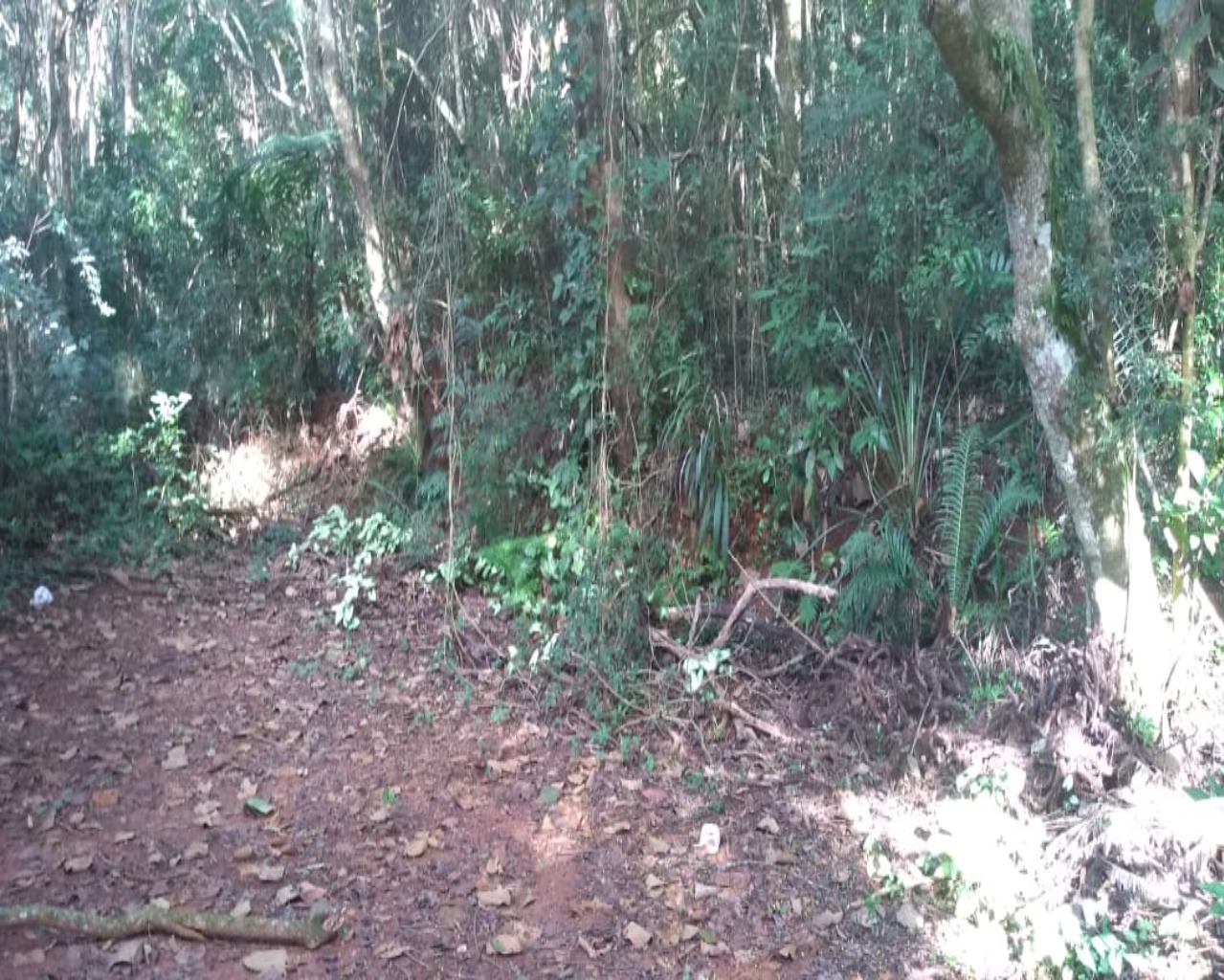 Terreno à venda em Parque Jaguari (fazendinha), 10.000 m² – Santana de Parnaíba – Cód. 69682242 — imagem 20