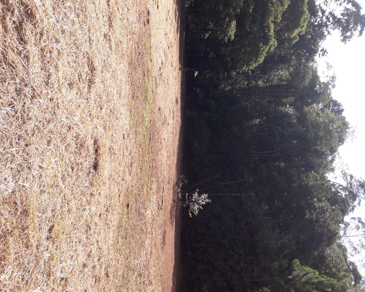 Terreno à venda em Parque Jaguari (fazendinha), 10.000 m² – Santana de Parnaíba – Cód. 69682242