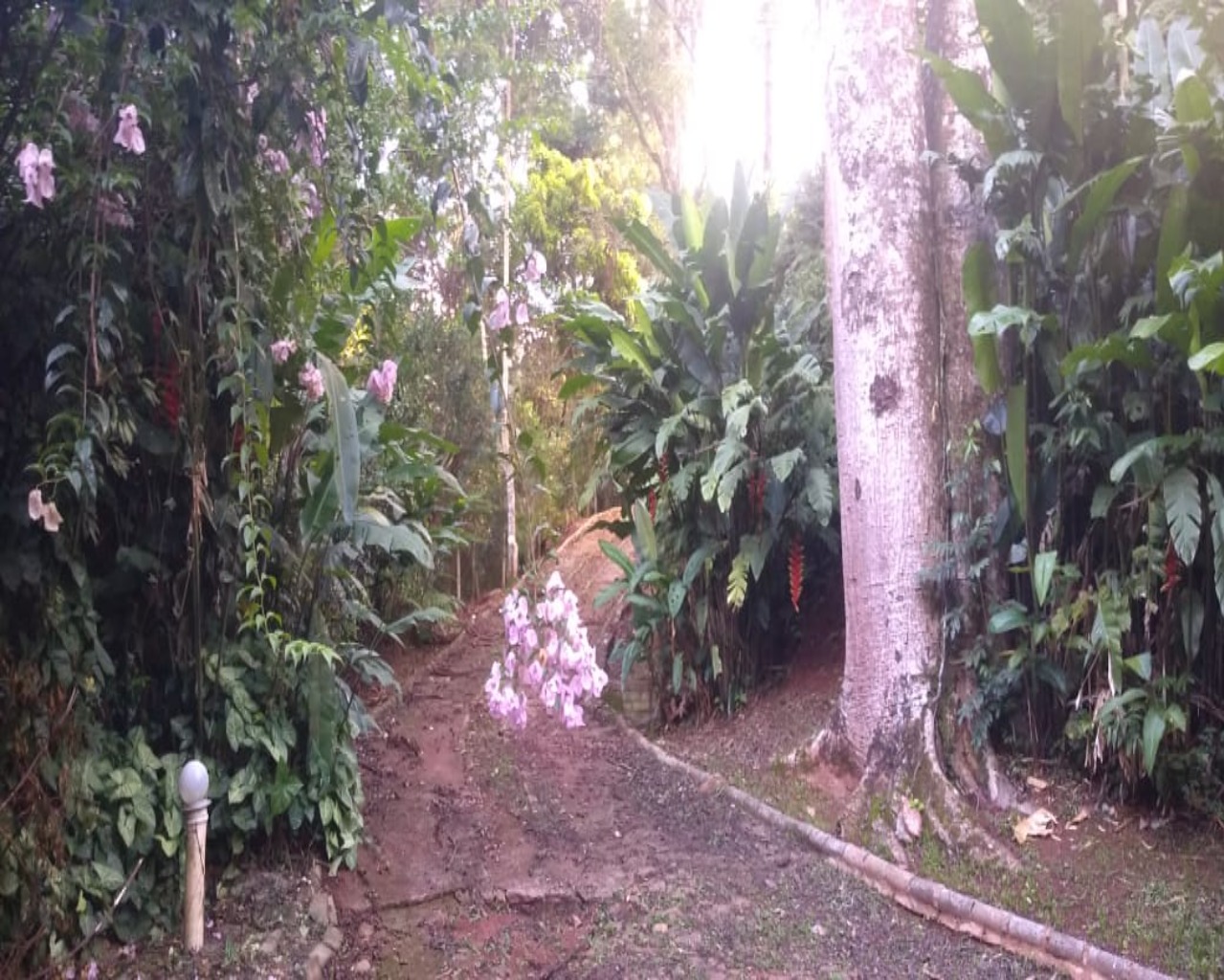 Terreno à venda em Parque Jaguari (fazendinha), 10.000 m² – Santana de Parnaíba – Cód. 69682242 — imagem 19