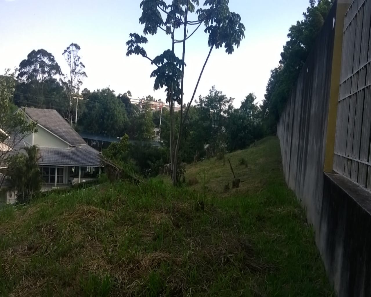 Terreno à venda no Tamboré 1, 2.018 m² – Residencial Tamboré, Barueri – Cód. 34565859 — imagem 5