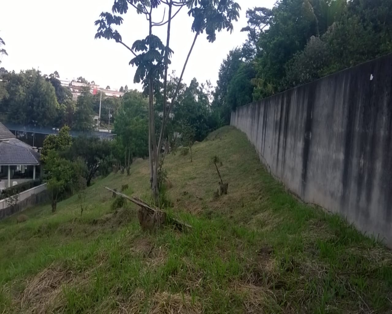 Terreno à venda no Tamboré 1, 2.018 m² – Residencial Tamboré, Barueri – Cód. 34565859 — imagem 6