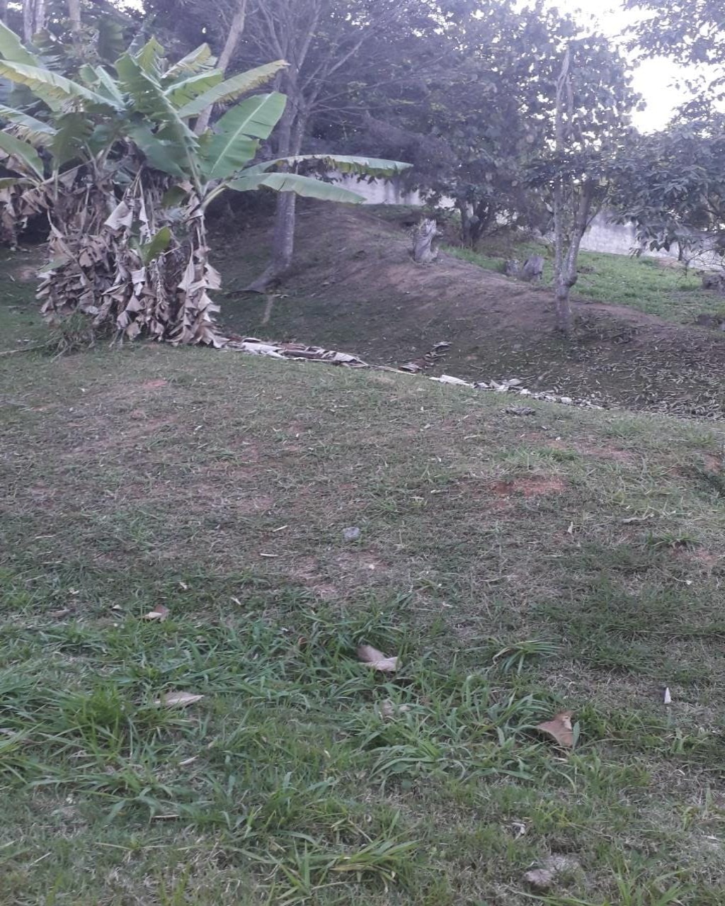 Terreno à venda no Tamboré 1, 2.018 m² – Residencial Tamboré, Barueri – Cód. 34565859 — imagem 1