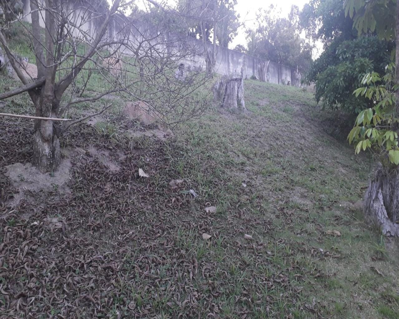 Terreno à venda no Tamboré 1, 2.018 m² – Residencial Tamboré, Barueri – Cód. 34565859 — imagem 7