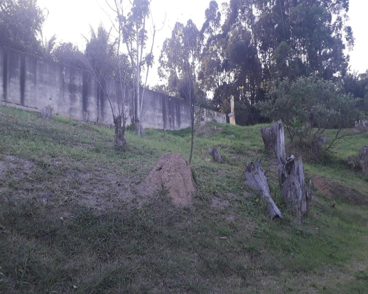 Terreno à venda no Tamboré 1, 2.018 m² – Residencial Tamboré, Barueri – Cód. 34565859 — imagem 4