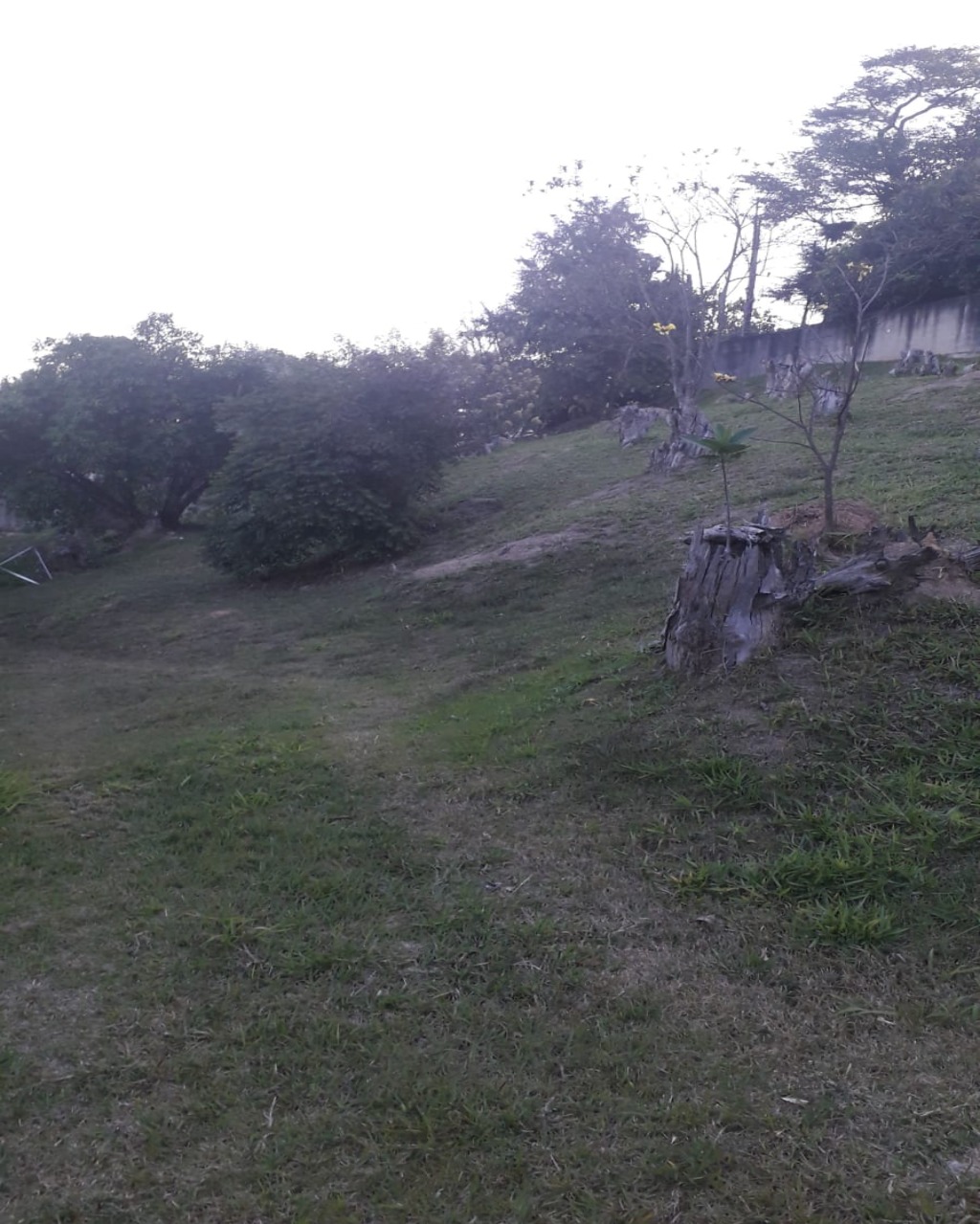 Terreno à venda no Tamboré 1, 2.018 m² – Residencial Tamboré, Barueri – Cód. 34565859 — imagem 2