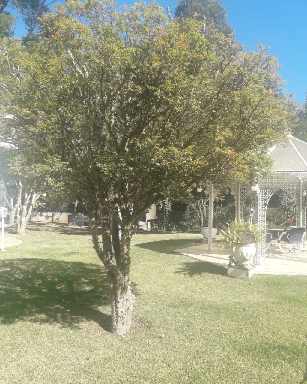 Casa à venda no Tamboré 1, 1.000 m² – Residencial Tamboré, Barueri – Cód. 68758067 — imagem 24