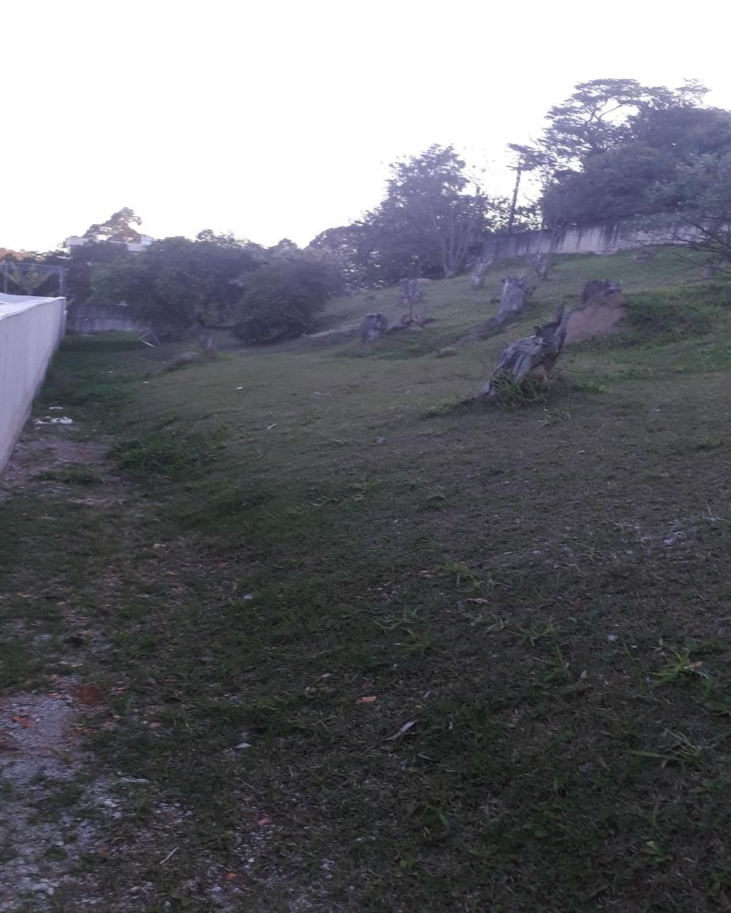 Terreno à venda no Tamboré 1, 2.018 m² – Residencial Tamboré, Barueri – Cód. 34565859 — imagem 10
