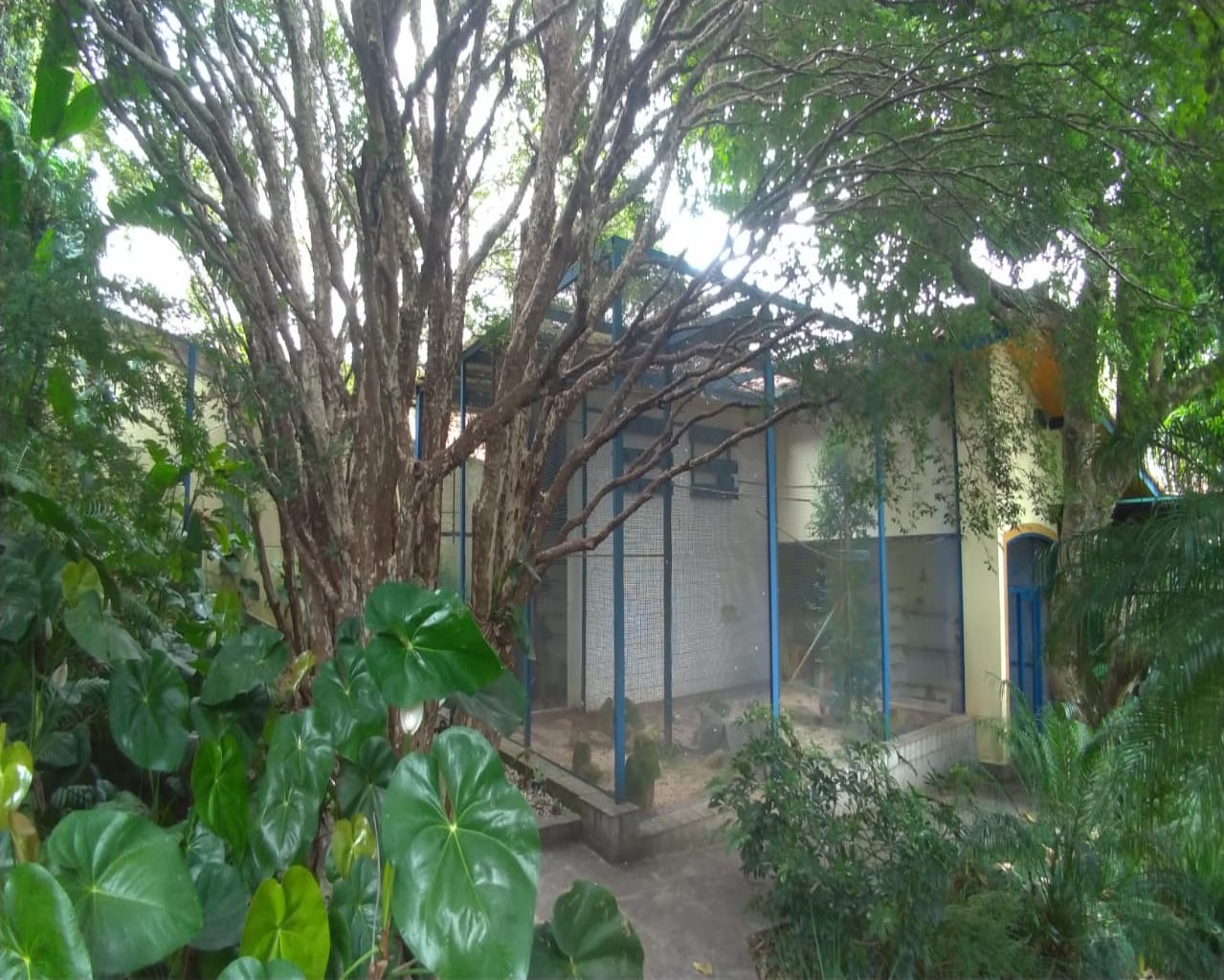 Casa à venda no Residencial 3, 332,5 m² – Alphaville, Santana de Parnaíba – Cód. 70727822 — imagem 5