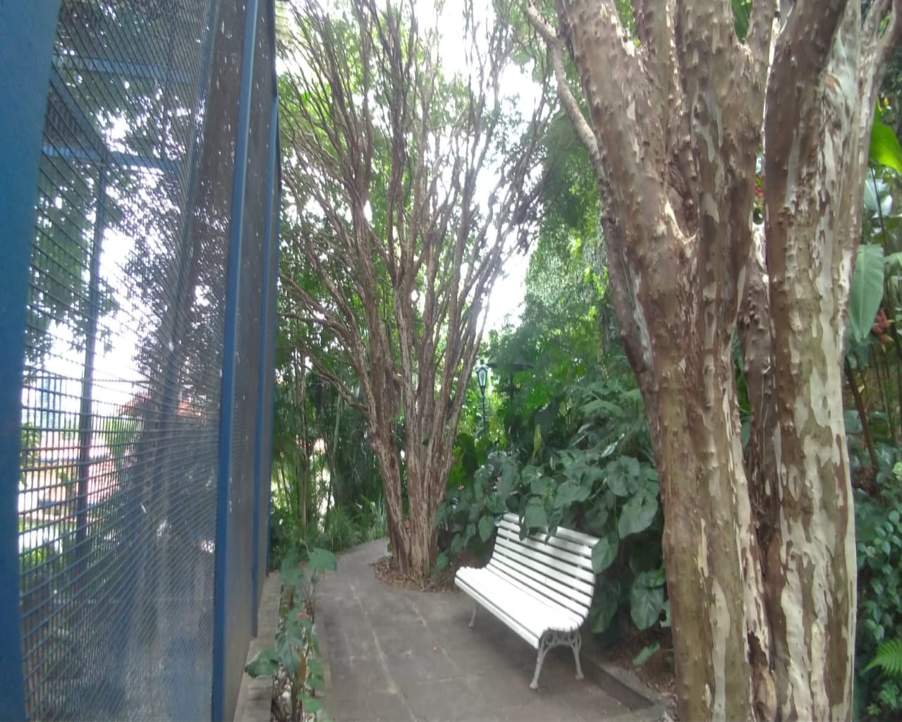 Casa à venda no Residencial 3, 332,5 m² – Alphaville, Santana de Parnaíba – Cód. 70727822 — imagem 2