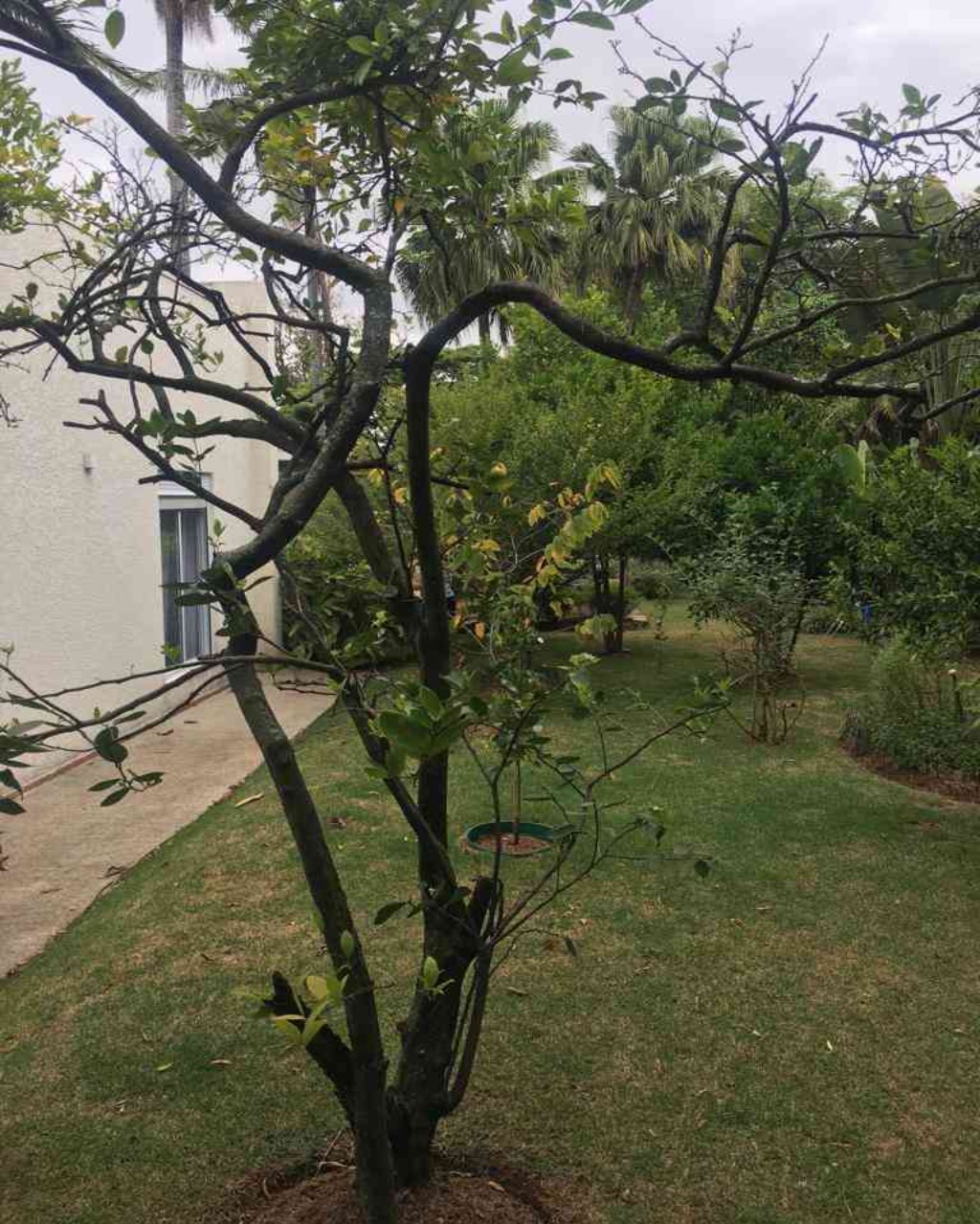 Casa à venda no Residencial 6, 450 m² – Alphaville, Santana de Parnaíba – Cód. 70759202 — imagem 7