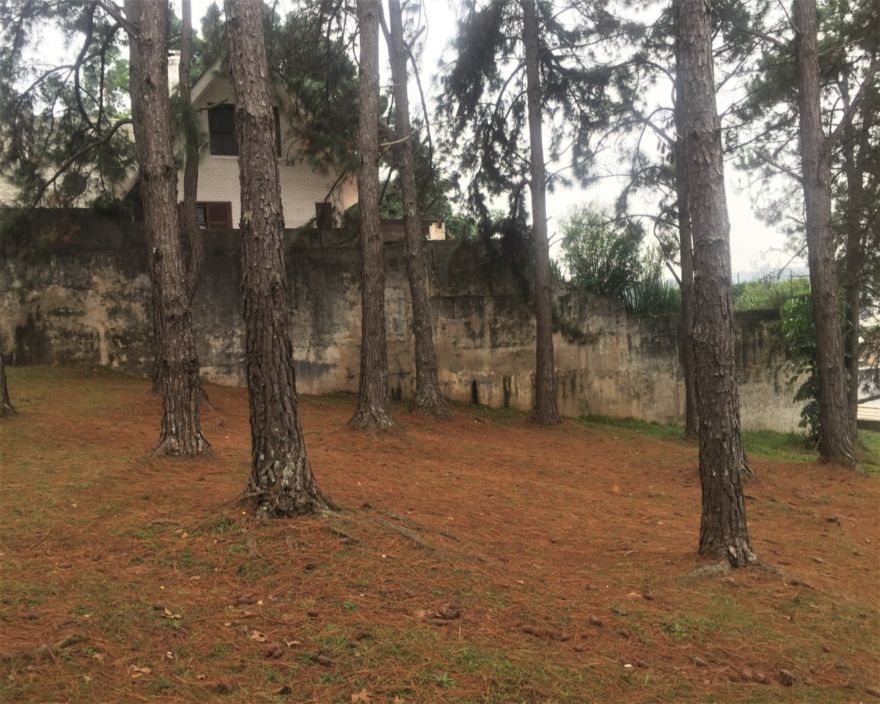 Terreno à venda no Residencial 10, 834 m² – Alphaville, Santana de Parnaíba – Cód. 71108176 — imagem 2