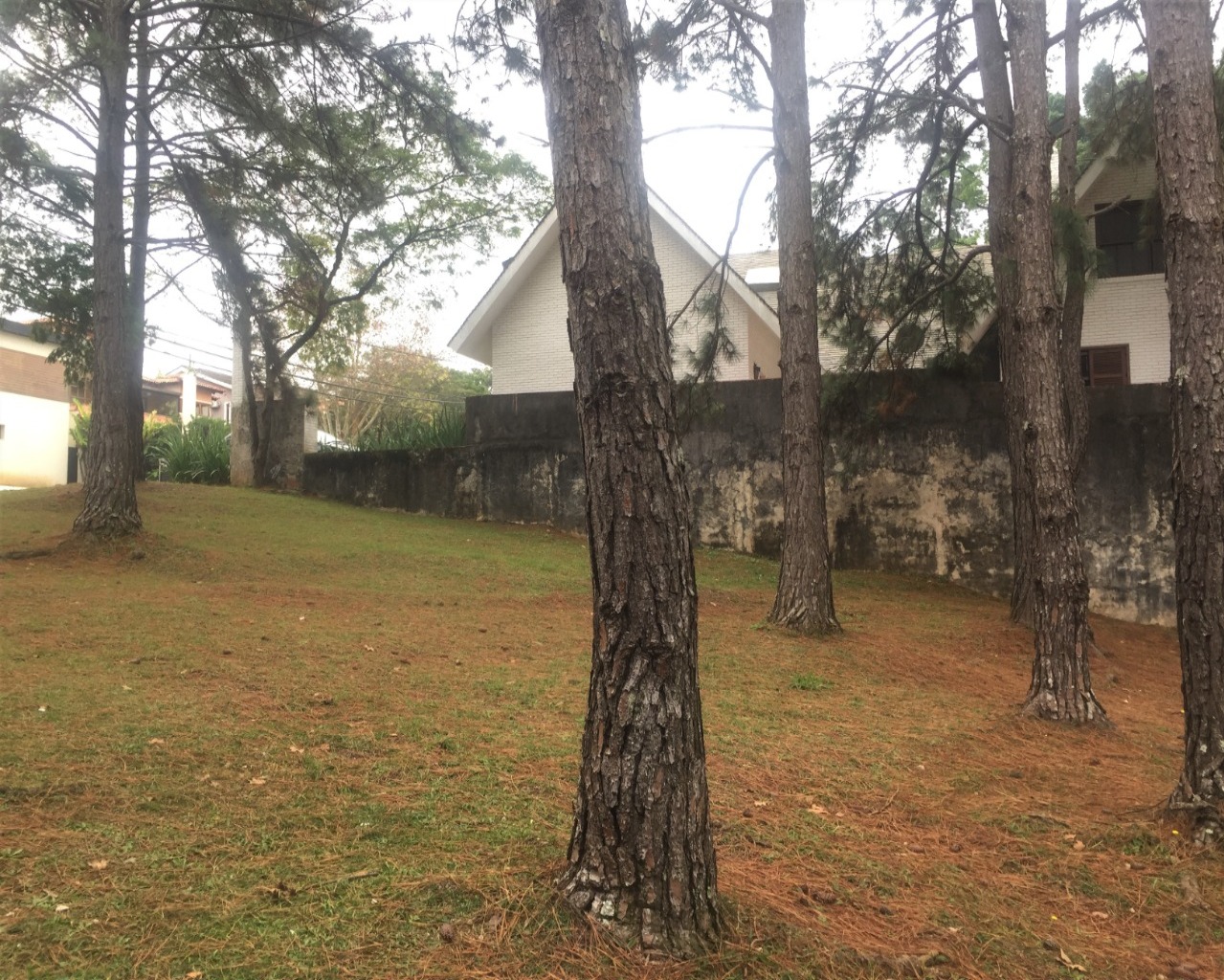 Terreno à venda no Residencial 10, 834 m² – Alphaville, Santana de Parnaíba – Cód. 71108176 — imagem 3