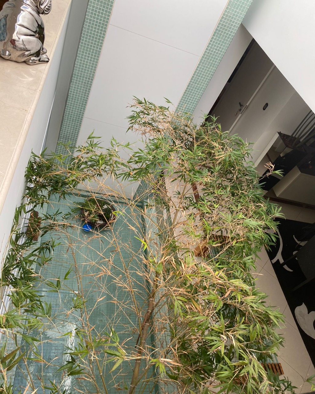 Casa à venda no Residencial 4, 517 m² – Alphaville, Santana de Parnaíba – Cód. 71192243 — imagem 24