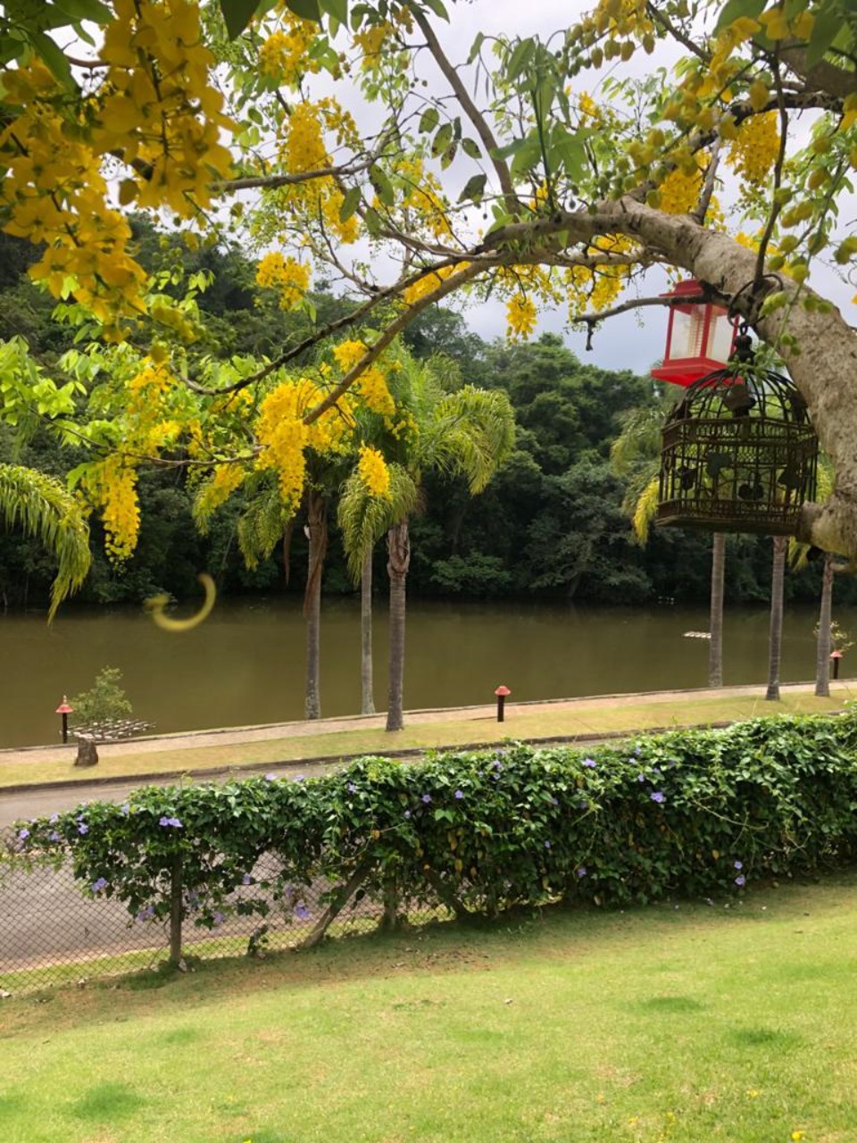 Casa à venda no Villa Solaia, 523 m² – Vila Velha, Santana de Parnaíba – Cód. 72964633 — imagem 9