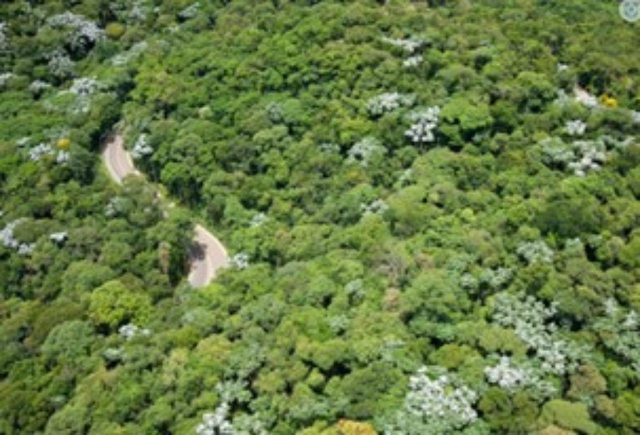 Terreno à venda no Genesis 2, 570 m² – Alphaville, Santana de Parnaíba – Cód. 72968166 — imagem 5