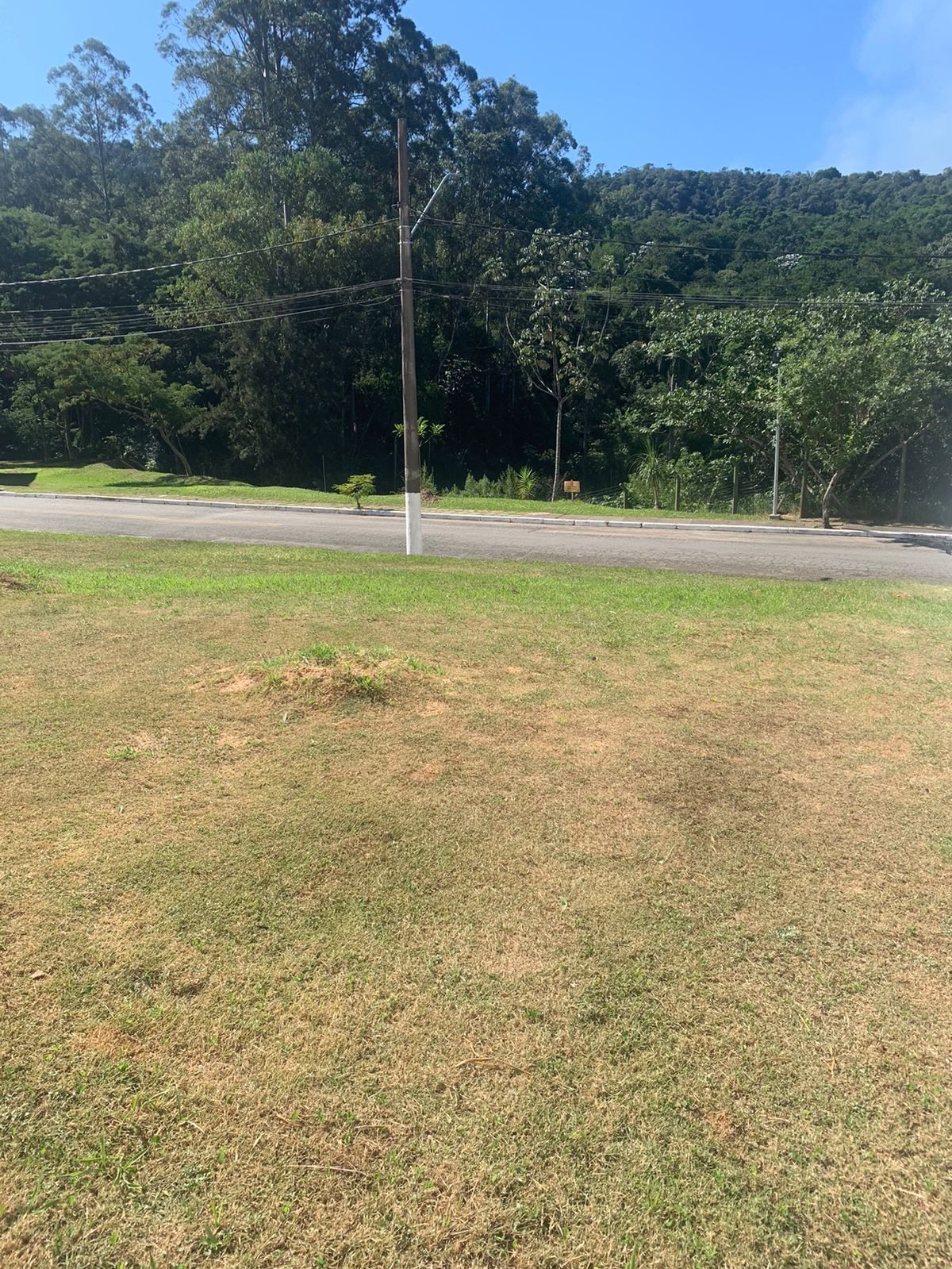 Terreno à venda no Alpha Sitio, 489 m² – Tamboré, Santana de Parnaíba – Cód. 74375939 — imagem 4