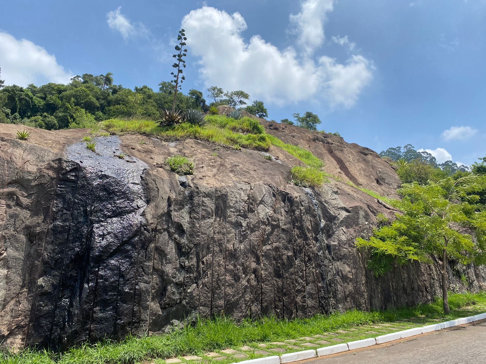 Terreno à venda no Alpha Sitio, 762 m² – Tamboré, Santana de Parnaíba – Cód. 75628444 — imagem 15