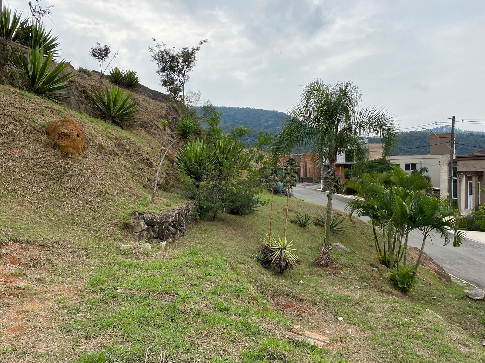Terreno à venda no Centro de Apoio 2, 128 m² – Alphaville, Santana de Parnaíba – Cód. 77219303 — imagem 3