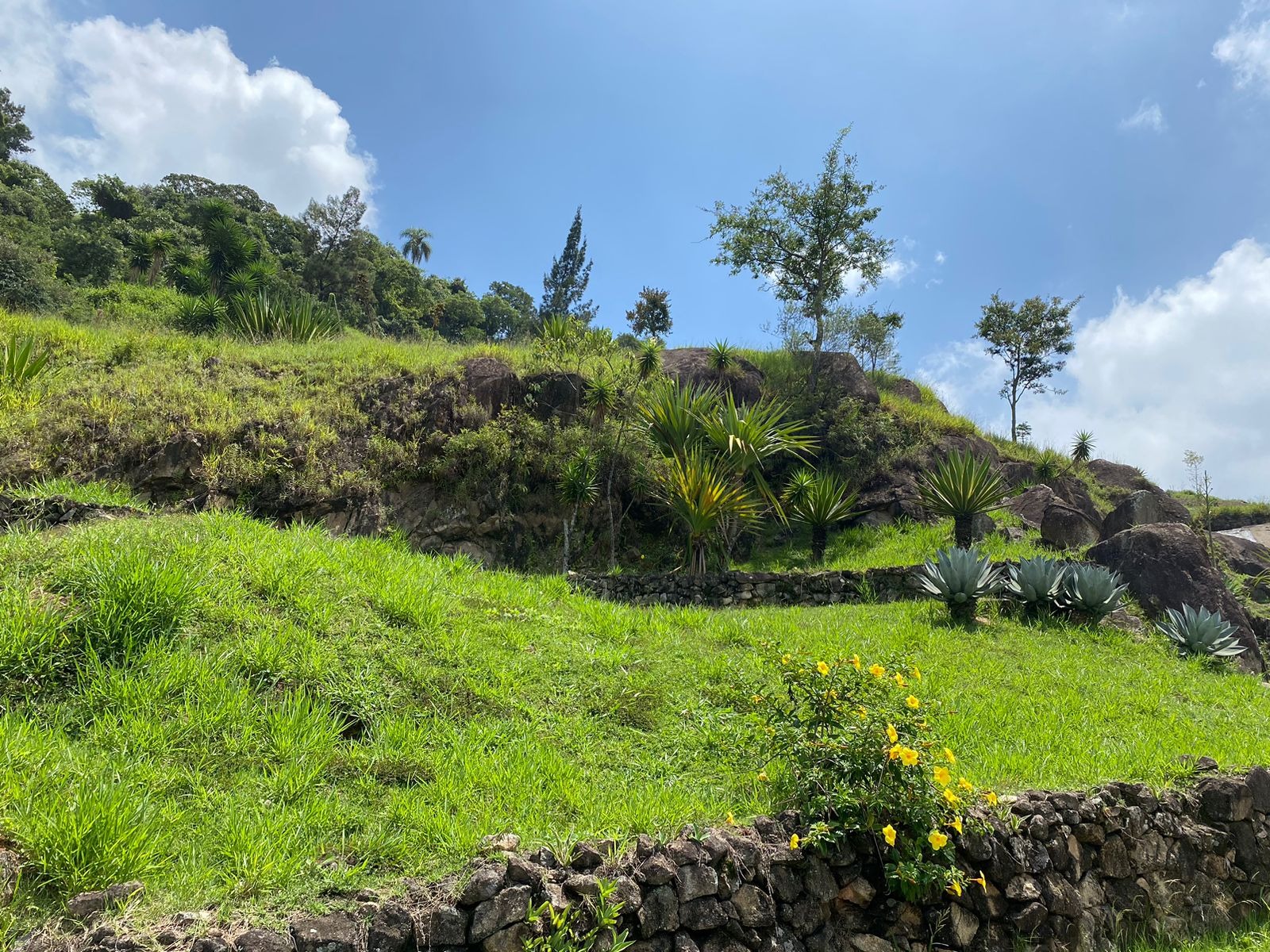 Terreno à venda no Alpha Sitio, 762 m² – Tamboré, Santana de Parnaíba – Cód. 75628444 — imagem 13