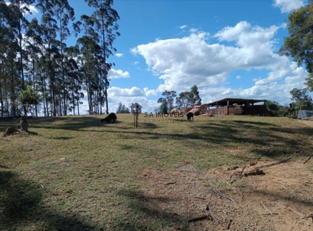 Área à venda em Quintas do Ingaí, 50.000 m² – Santana de Parnaíba – Cód. 77678109 — imagem 2