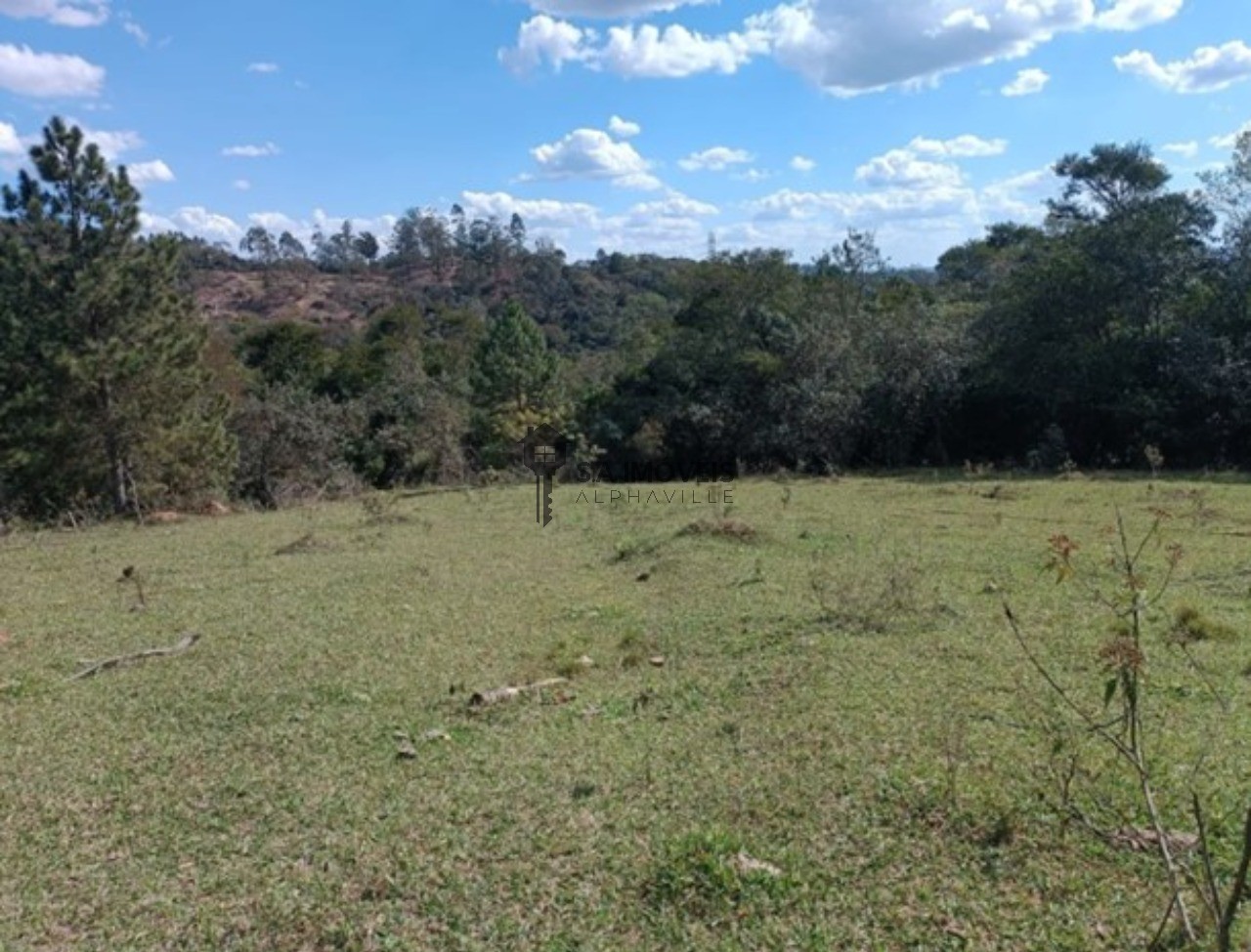 Área à venda em Quintas do Ingaí, 50.000 m² – Santana de Parnaíba – Cód. 77678109 — imagem 4