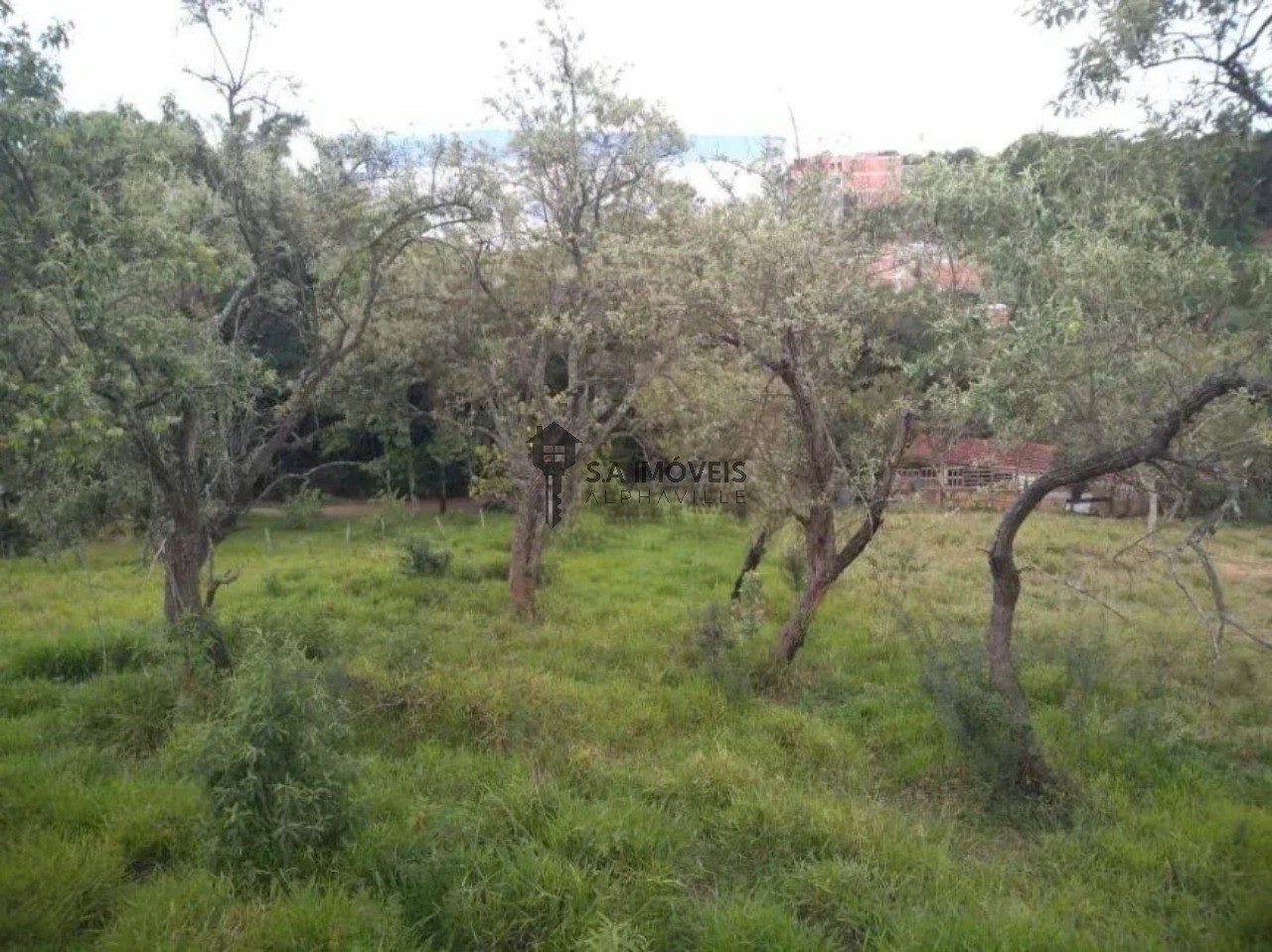 Terreno à venda em Parque Viana, 34.422 m² – Barueri – Cód. 77901153 — imagem 8