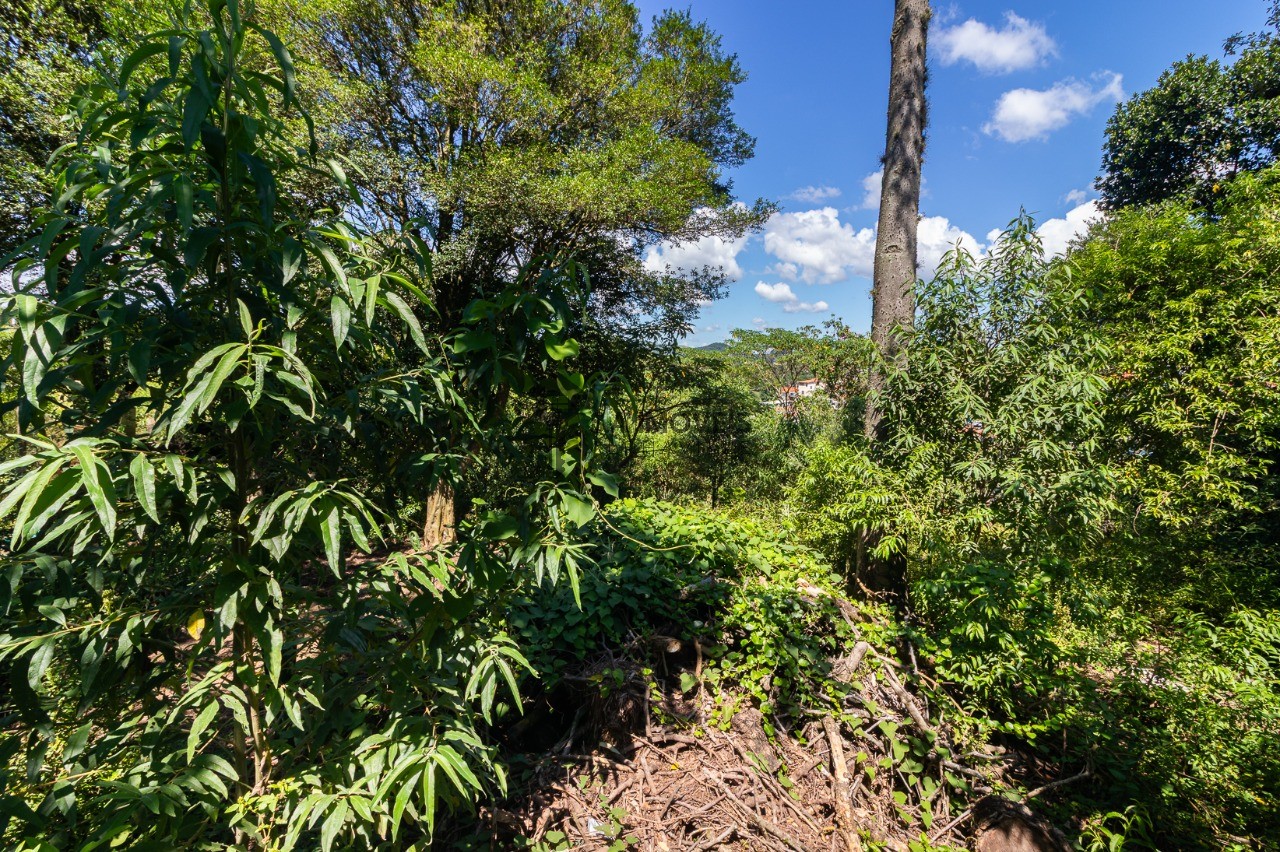 Terreno à venda no Jardim Professor Benoá, 3.800 m² – Jardim Professor Benoá, Santana de Parnaíba – Cód. 78005778 — imagem 7