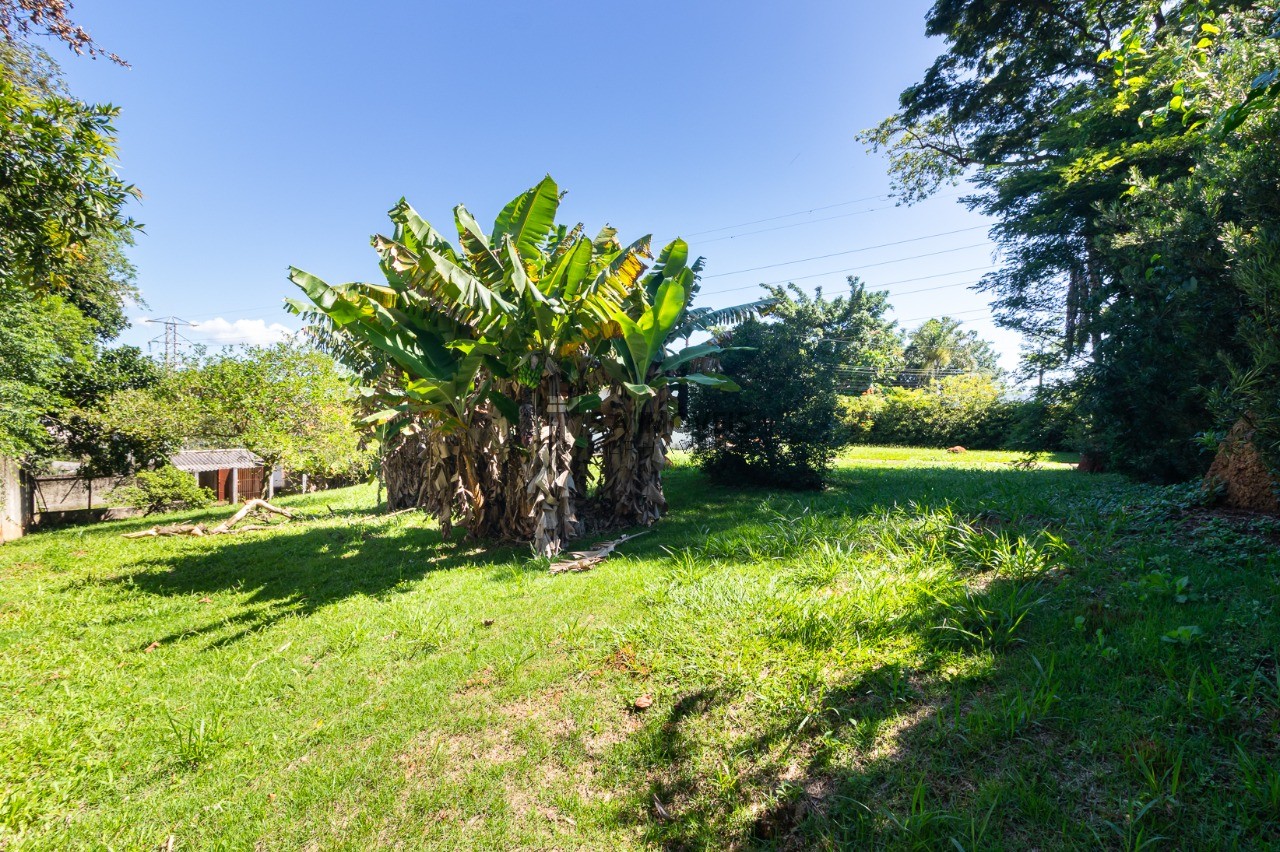 Terreno à venda no Jardim Professor Benoá, 3.800 m² – Jardim Professor Benoá, Santana de Parnaíba – Cód. 78005778 — imagem 6