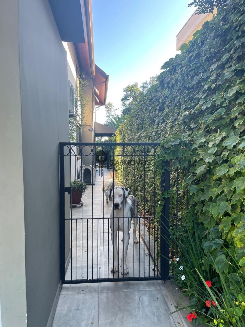 Casa à venda no Tarumã, 356,3 m² – Tarumã, Santana de Parnaíba – Cód. 78040222 — imagem 9