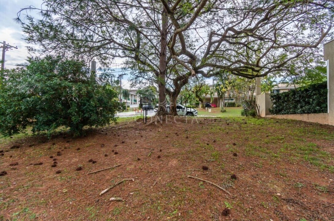 Terreno à venda no 18 do Forte, 490 m² – Tamboré, Santana de Parnaíba – Cód. 78404536 — imagem 2