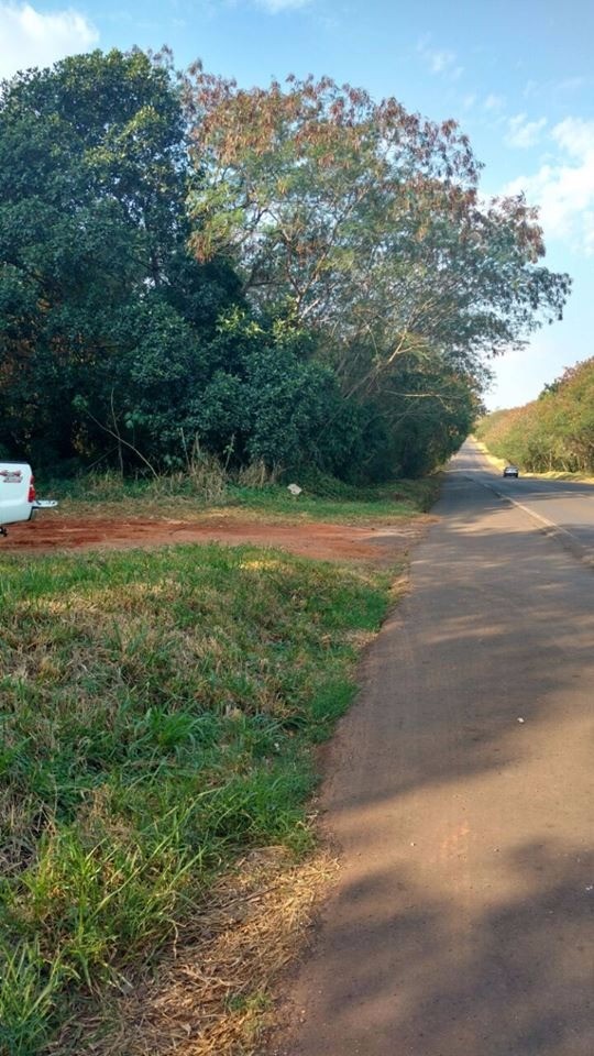 Cafezal do Sul Paraná fonte: cdn.uso.com.br