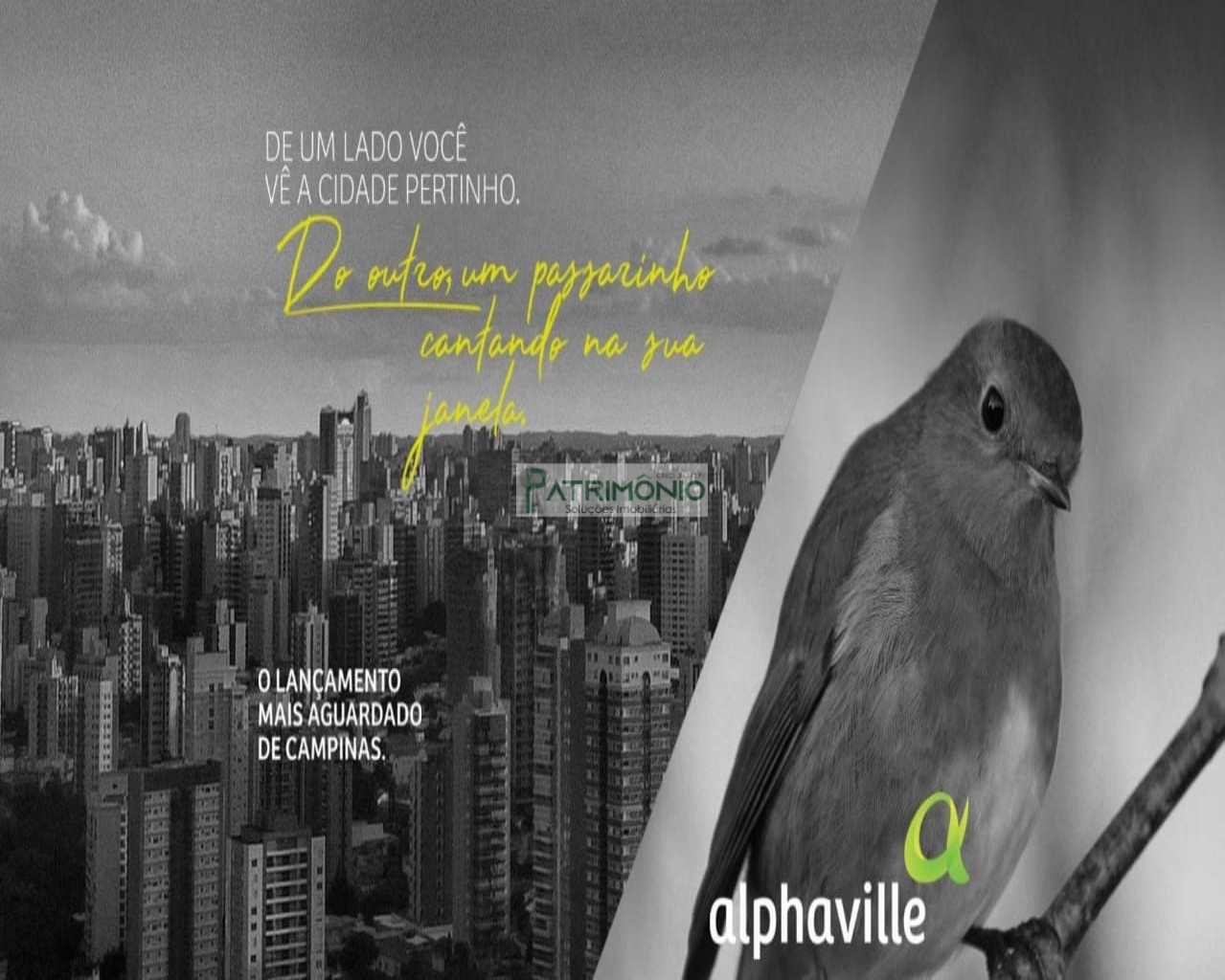 Alphaville Zero Campinas