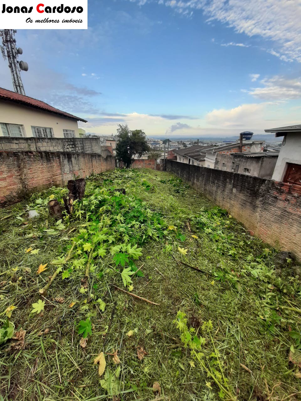 Cinturão Verde – Mogi das Cruzes