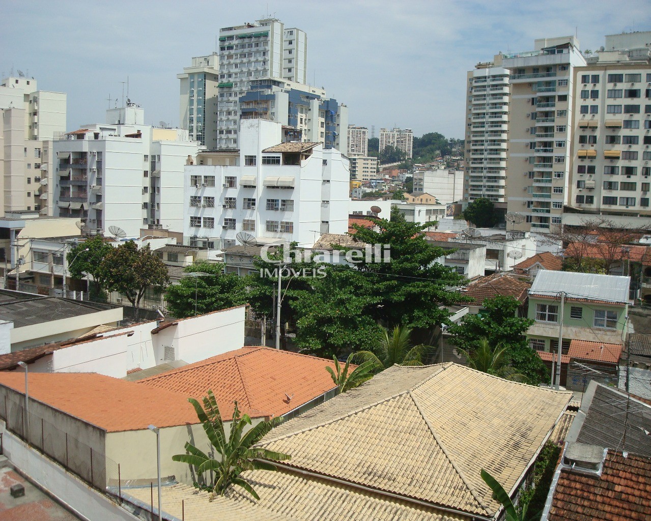 PGCE  São Paulo SP