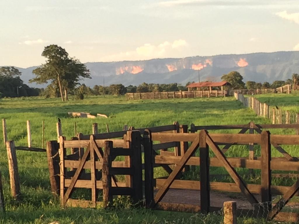 Otima Fazenda Piscicultura E Pecuaria Localizada Ha 50km De Cuiaba