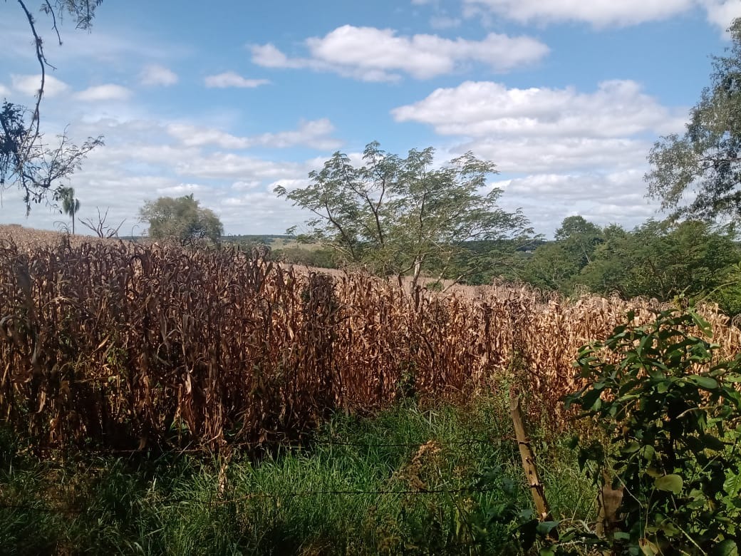 Sítio em Angatuba/São Paulo — Ref S93F5L — Imagem 1