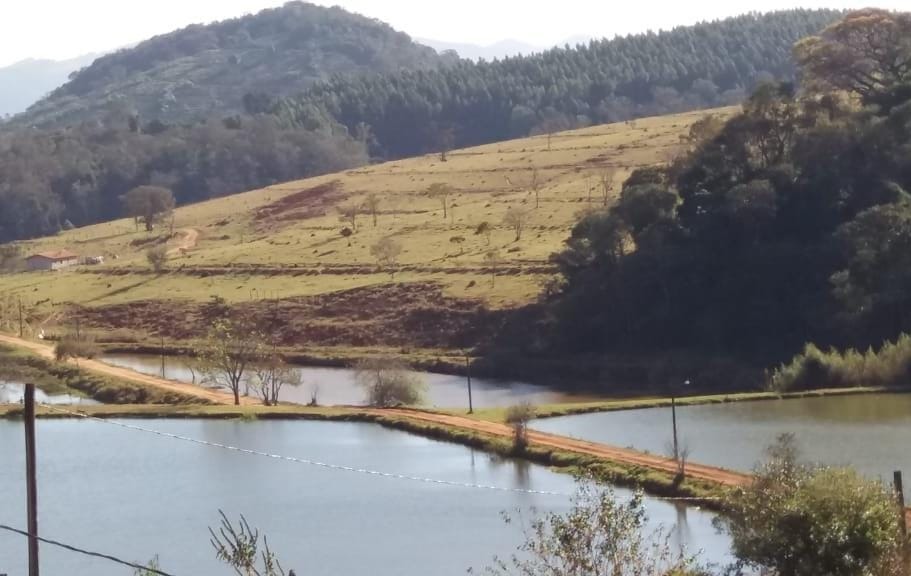 Fazenda em Ouro Fino/Minas Gerais — Ref 7ZJAV8 — Imagem 2