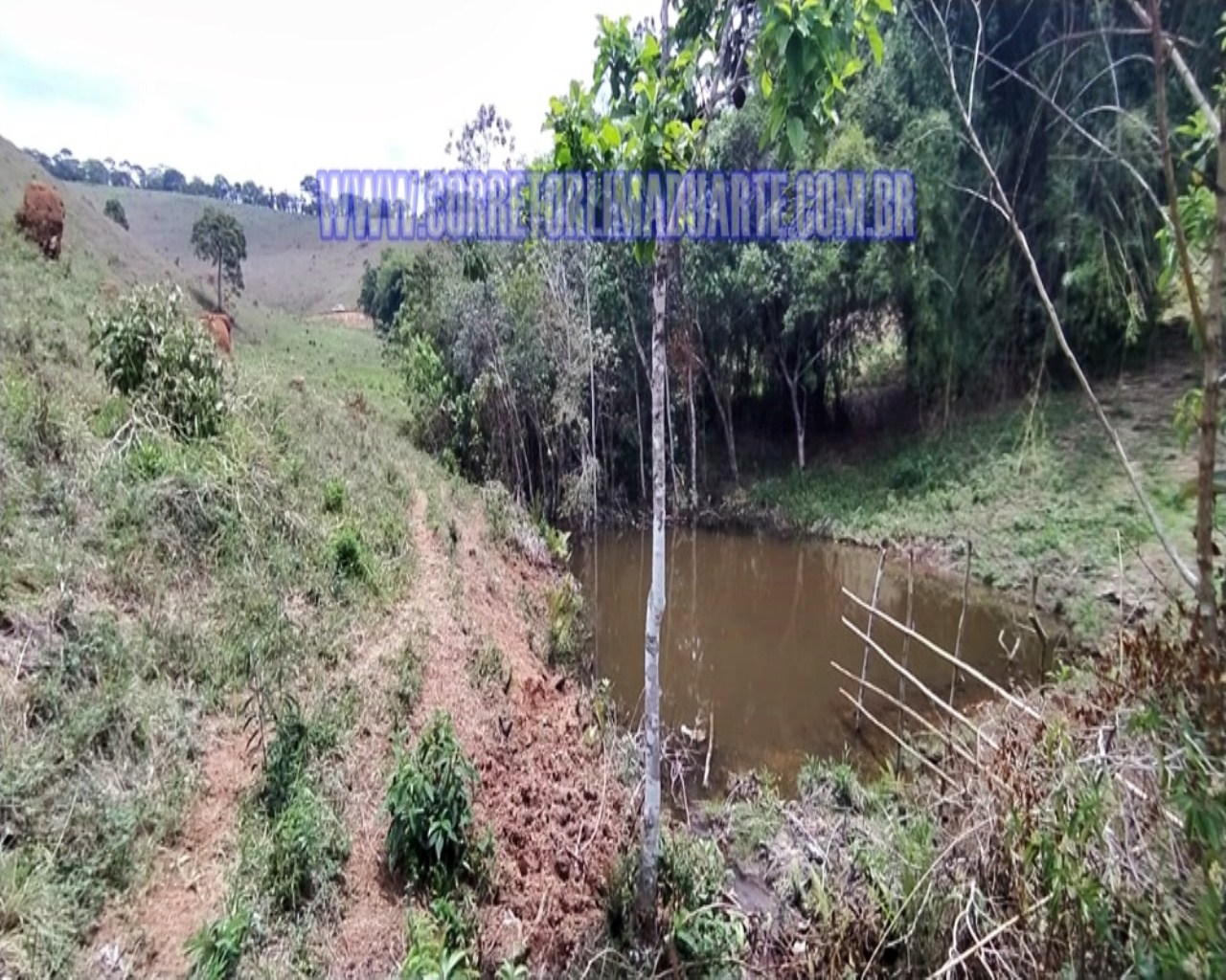 Terreno Para Venda Em Pedro Teixeira Mg