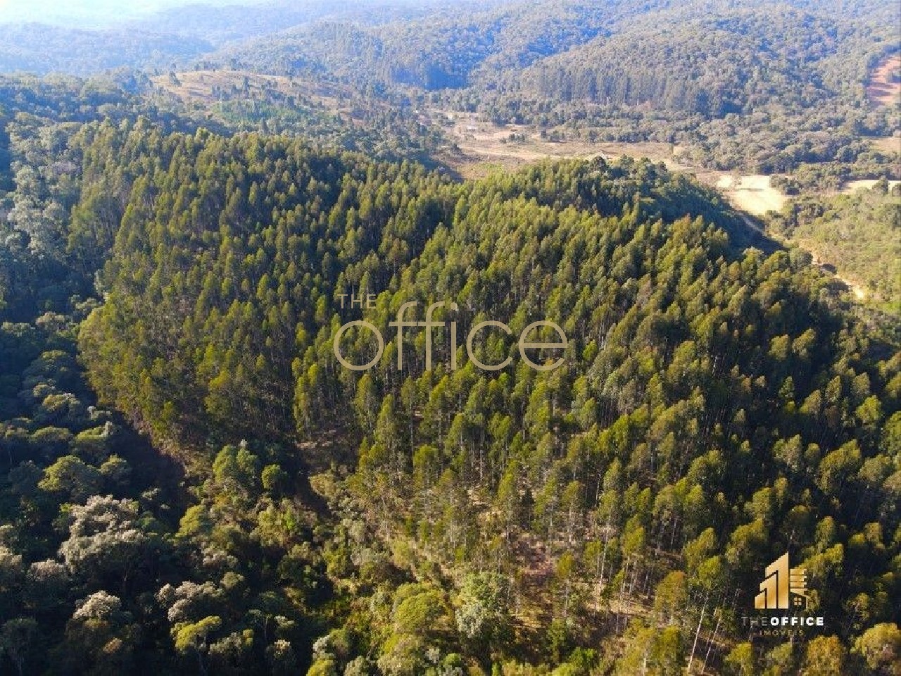 EXTENSO TERRENO À VENDA EM CAMPO ALEGRE, 80509 M² - ZONA RURAL/SC-280 em Zona Rural — foto 2
