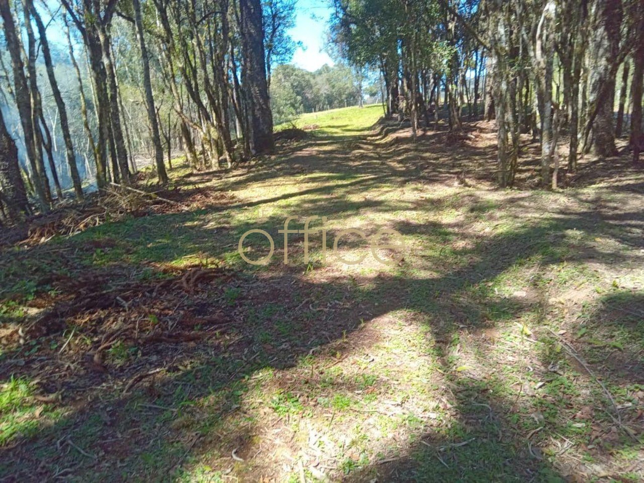 Chacara em Bateias de Baixo — foto 3