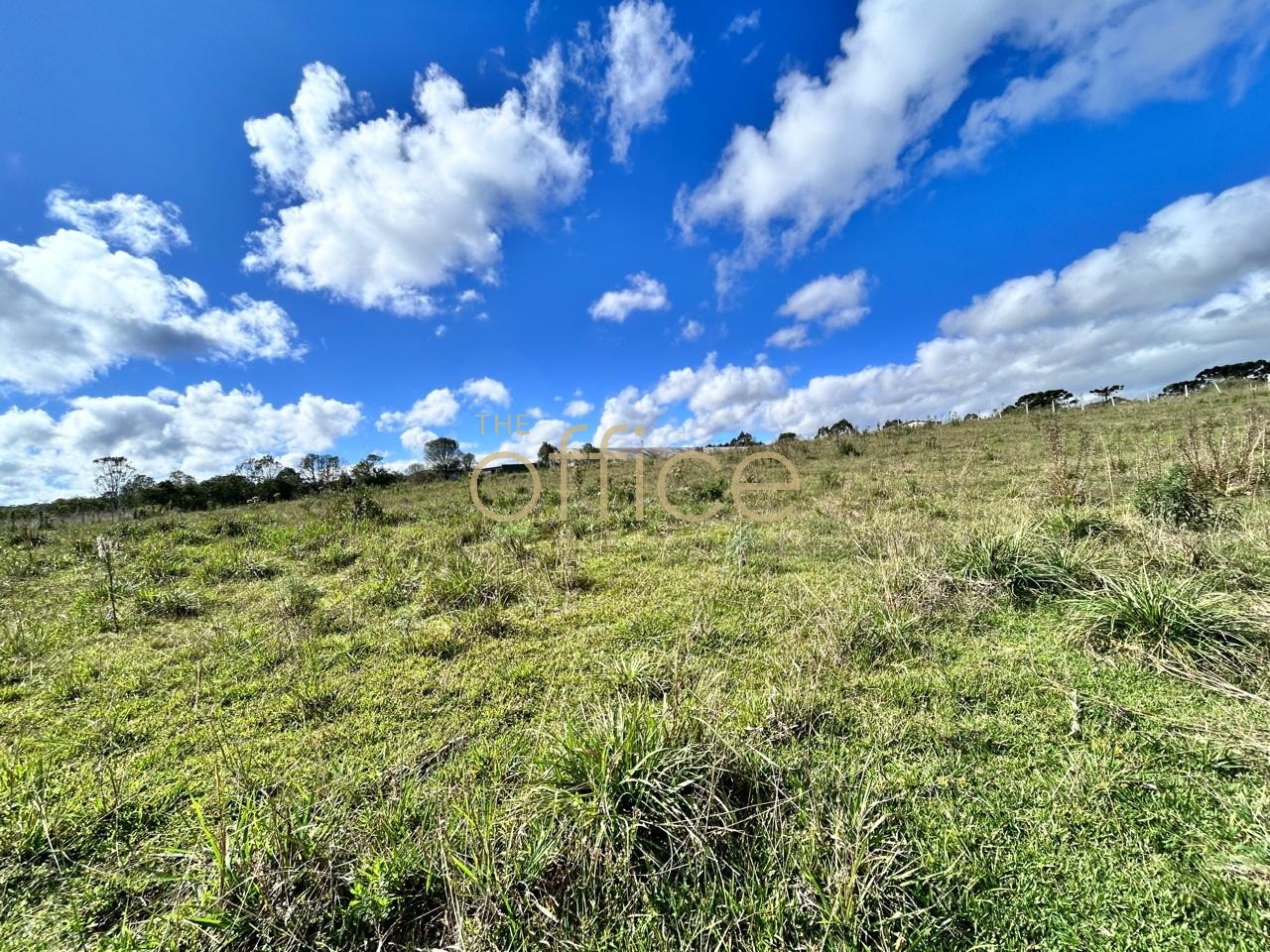 Terreno em Santo Antônio — foto 5