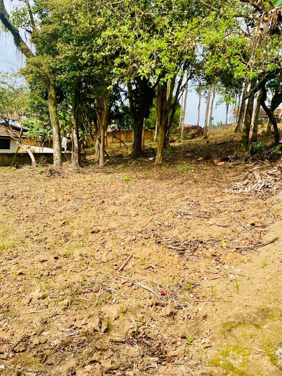 Terreno em Jarivatuba — foto 3