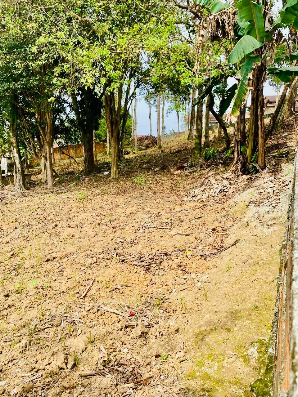 Terreno em Jarivatuba — foto 5