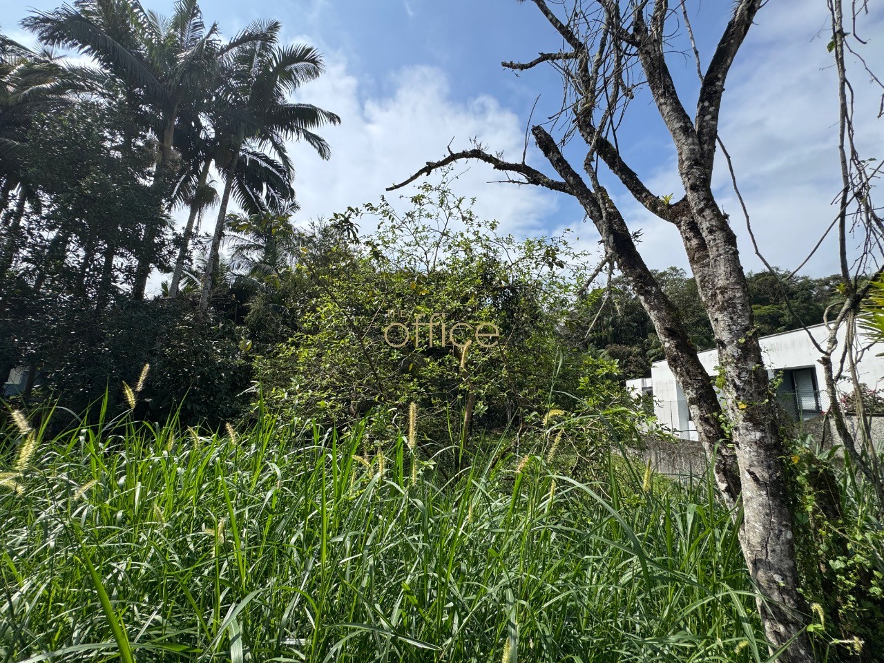 Terreno em América — foto 3