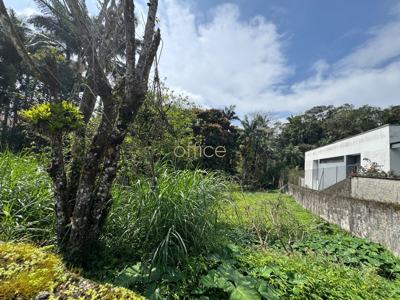 Terreno em América — foto 4