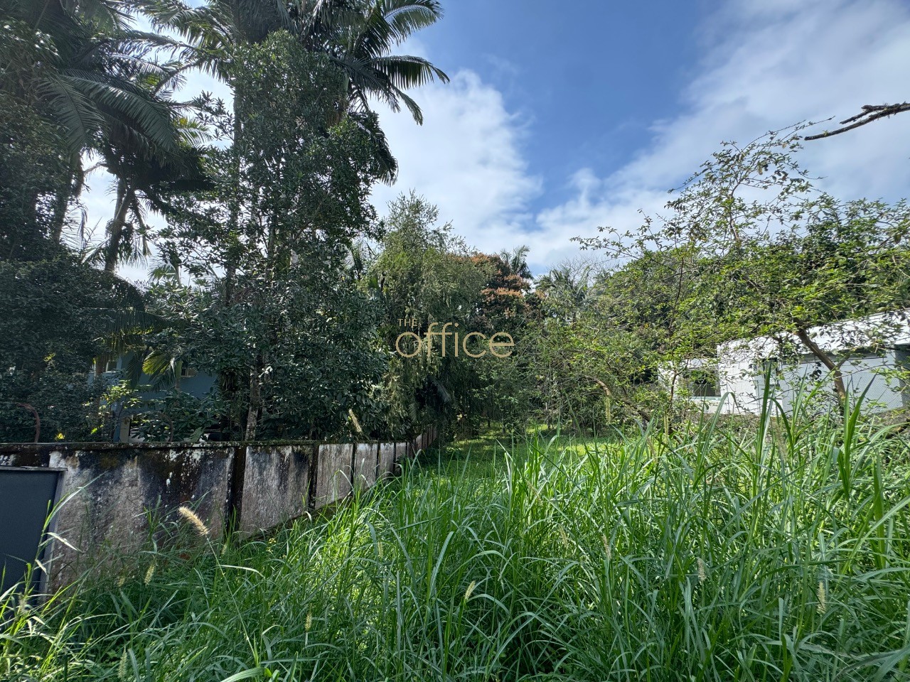 Terreno em América — foto 2
