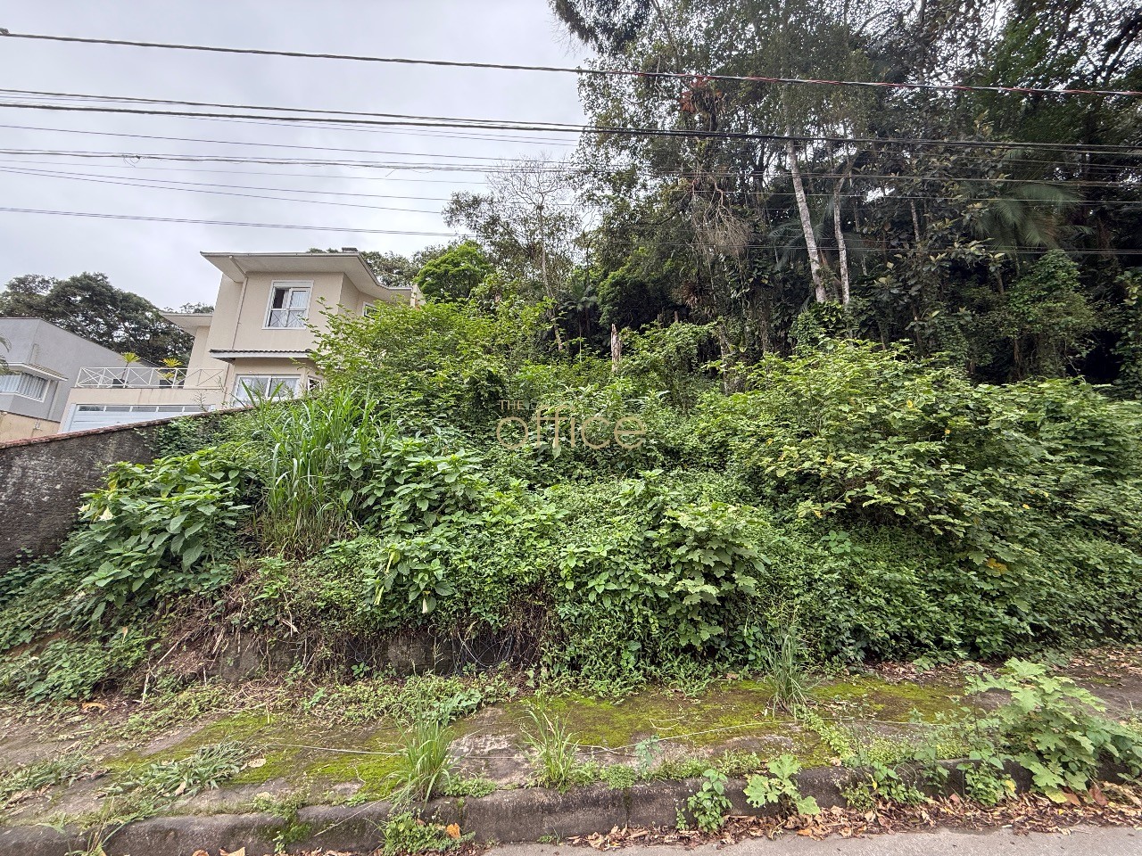 Terreno em América — foto 4