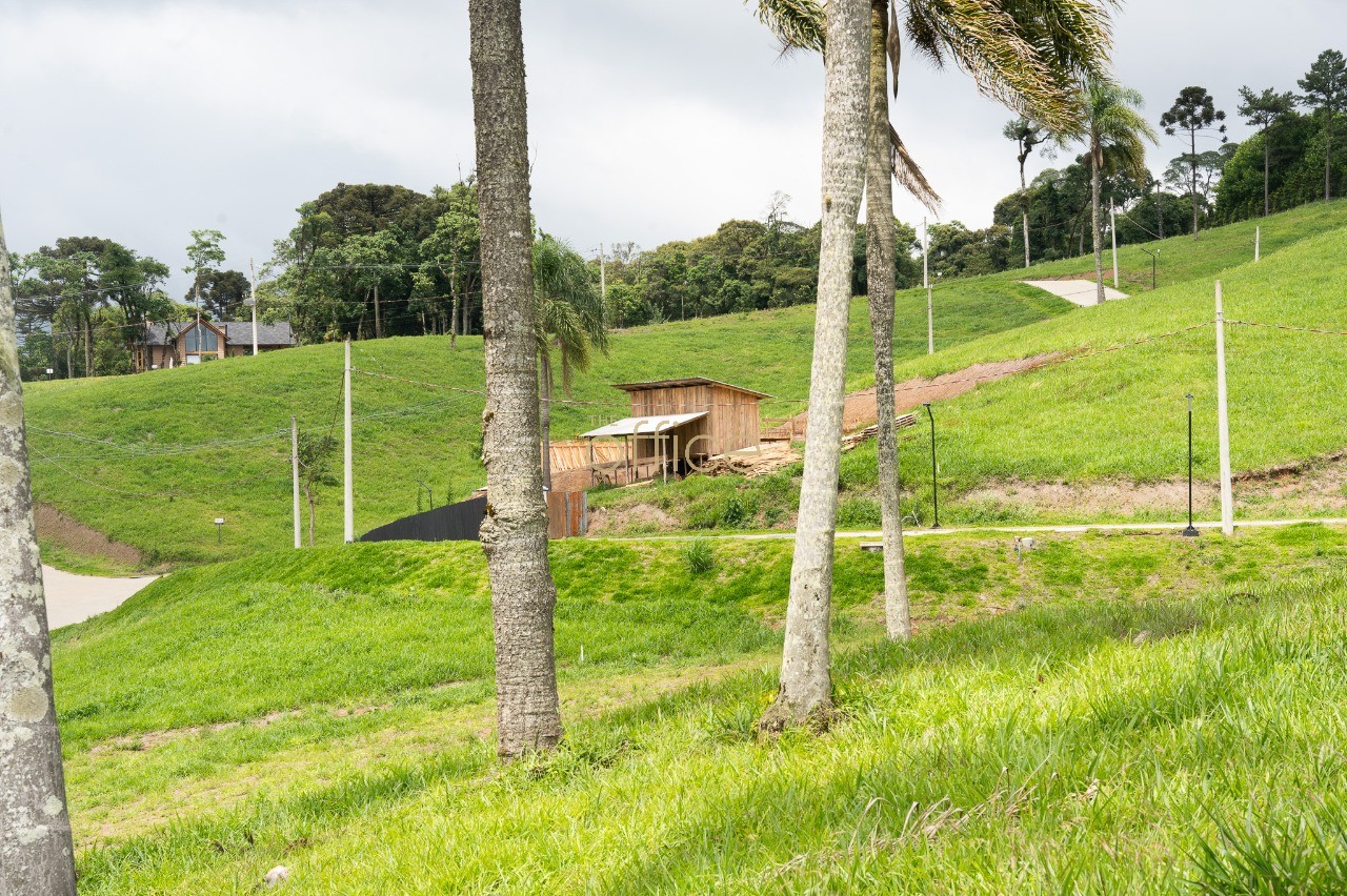 Terreno em Zona Rural — foto 4