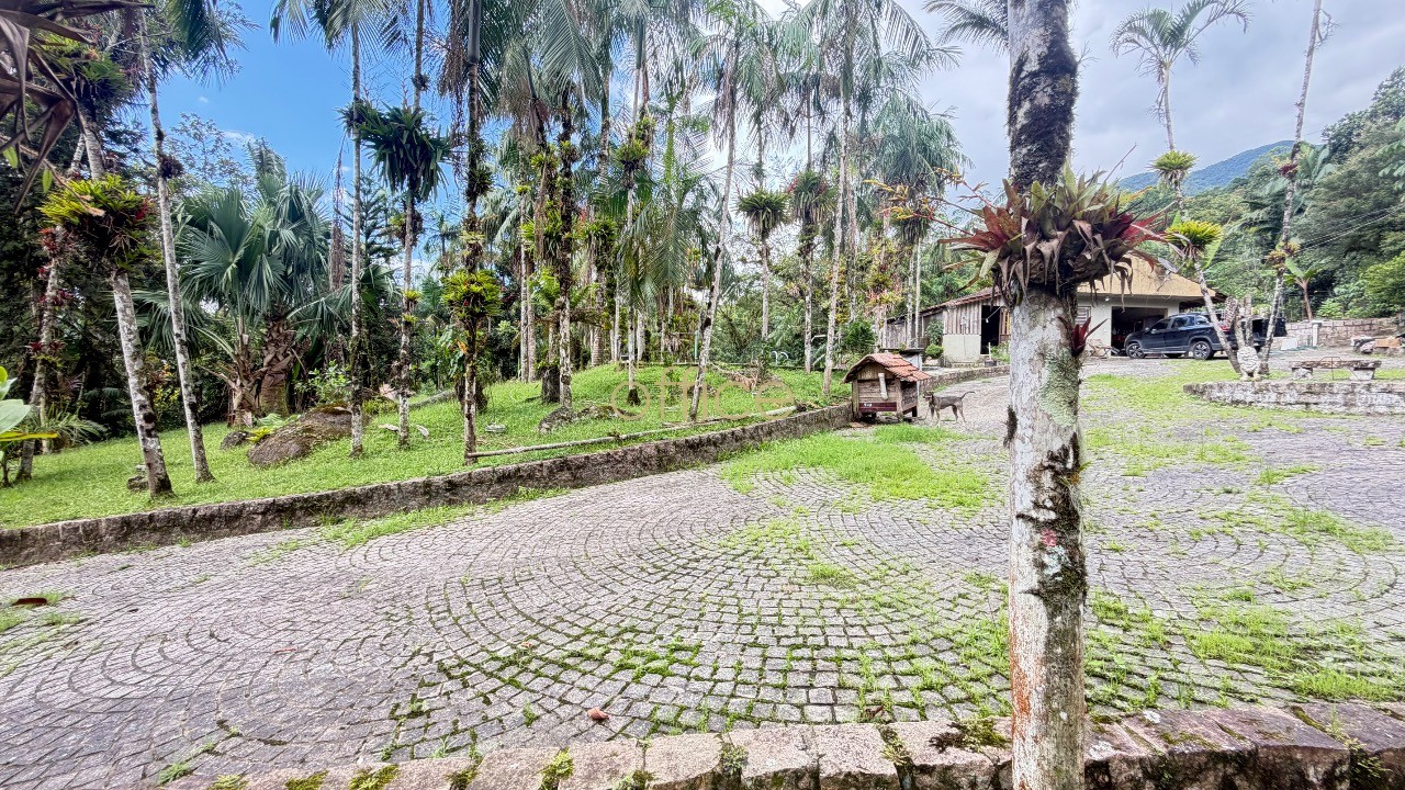 Sítio em Garuva com 17.000 m2 para cultivo, lazer ou investimento rural em Garuva — foto 4
