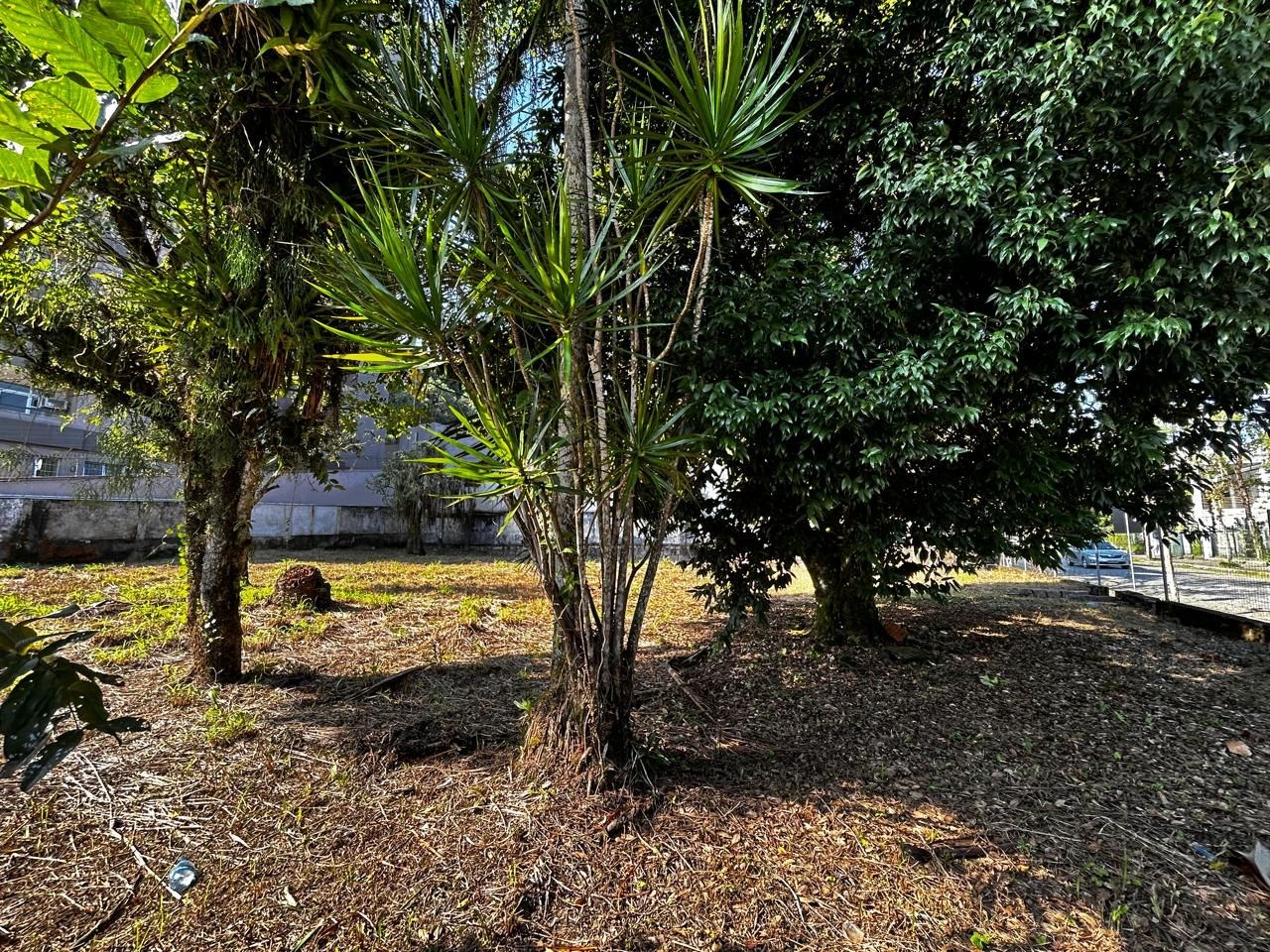 TERRENO SAGUAÇU em Saguaçu — foto 4